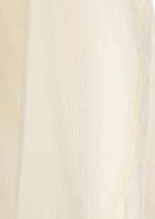 Bluse "Sassy" - Pastellgelb – Bild 3